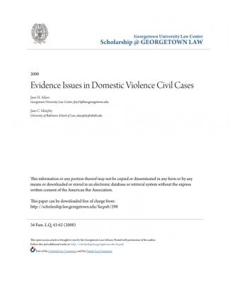Evidence Issues In Domestic Violence Civil Cases