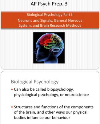 Ap Psych Prep 3 - Biological Psychology (part I)