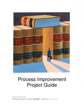 Process Model Project Guide