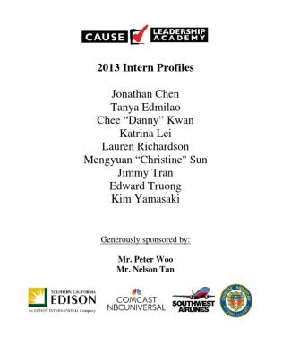 Leadership Academy 2013 Intern Profiles