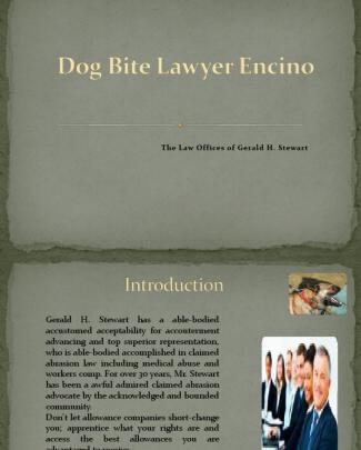 Dog Bite Lawyer Encino